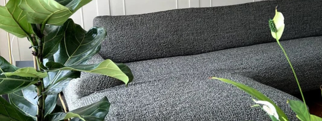 Sectional Sofas Buying Guide: All You Should Know